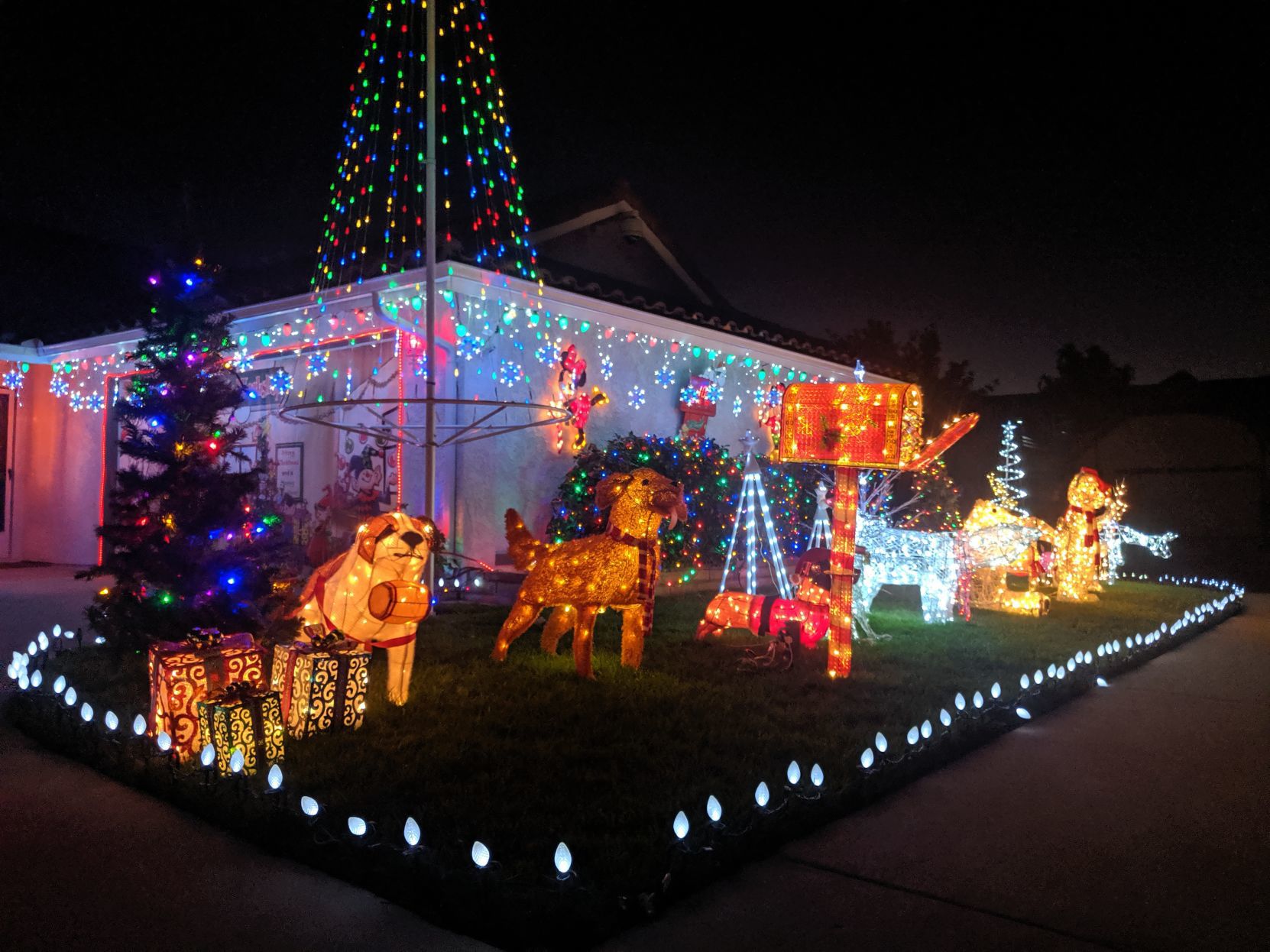 121319 SM Lights Sights 11.jpg